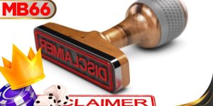 ใบอนุญาตการดำเนินงาน