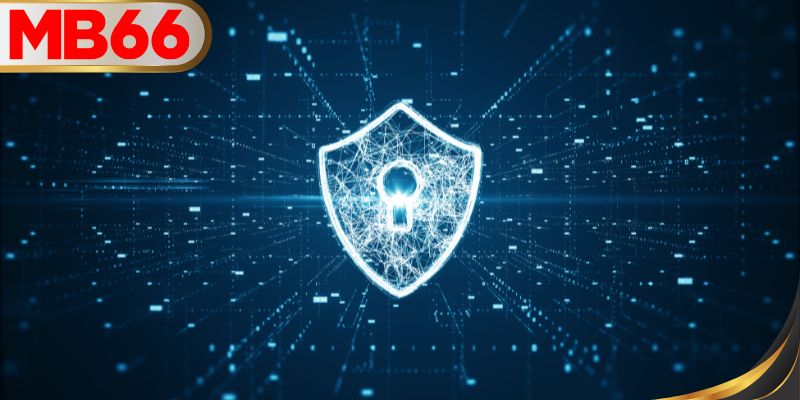 กลไกนโยบายความเป็นส่วนตัว MB66